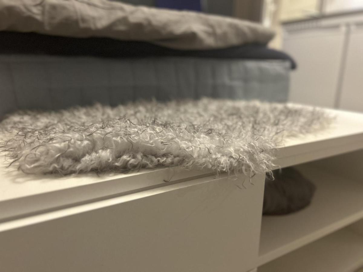 New Studio Apartment In Tromso - Aurora Hotspot Kültér fotó